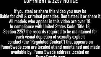 Pornstar Puma Swede seduced plumber